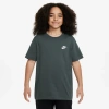 Nike Boys   Nsw Emb Futura T-shirt In Vintage Green