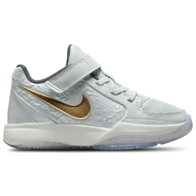 Nike Kids' Boys Preschool   Ja 2 In Gold/grey/silver