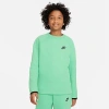 Nike Kids'  Boys' Sportswear Tech Fleece Sweatshirt In Spring Green/black/black