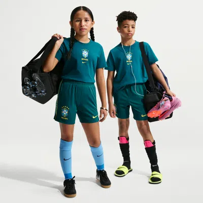 Nike Brazil Academy Pro Big Kids'  Dri-fit Soccer Shorts In Green