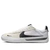 Nike Sb Brsb Low-top Sneakers In Multi