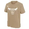 Nike Chicago Bulls Essential City Edition Big Kids'  Nba T-shirt In Brown
