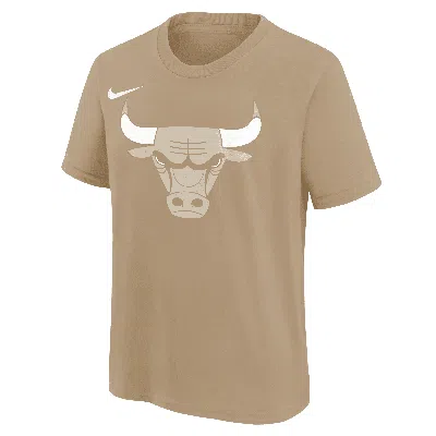 Nike Chicago Bulls Essential City Edition Big Kids'  Nba T-shirt In Brown