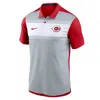 Nike Cincinnati Reds Striped Vapor Polo  Men's Dri-fit Mlb Polo In Multi
