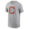 Nike Clemson Tigers Primetime Evergreen Alternate Logo  Men's College T-shirt In Grey