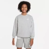 Nike Club Big Kid Girls Crew Neck Fleece Long Sleeve Sweatshirt In Gray