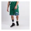 Nike Dal Men's Dallas Mavericks Hwc Edition Swingman Shorts In Green