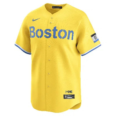 Nike David Ortiz Boston Red Sox City Connect  Men's Dri-fit Adv Mlb Limited Jersey In Brown