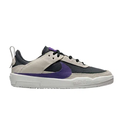 Pre-owned Nike Day One Sb Gs 'phantom Court Purple' | Grey | Kid's Size 5.5