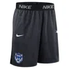 Nike Detroit Tigers Authentic Collection City Connect  Men's Dri-fit Mlb Shorts In Blue