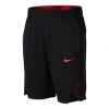Nike Dri- Fit Sports Breathable Quick Dry Training Running Shorts Black