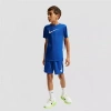 Nike Dri-fit Big Kid Unisex Pull-on Short In Blue