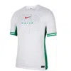 Nike Nigeria 2024 Stadium Home  Men's Dri-fit Soccer Replica Jersey