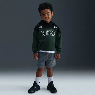 Nike Babies' Dri-fit Toddler Multi Mesh Shorts In Gray