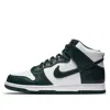 Nike Mens  Dunk Hi In Black