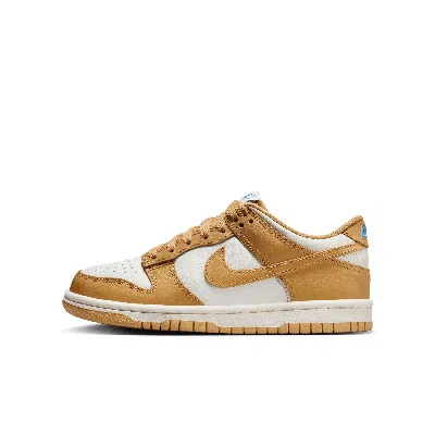 Nike Babies' Dunk Low Big Kids' Shoes In Brown