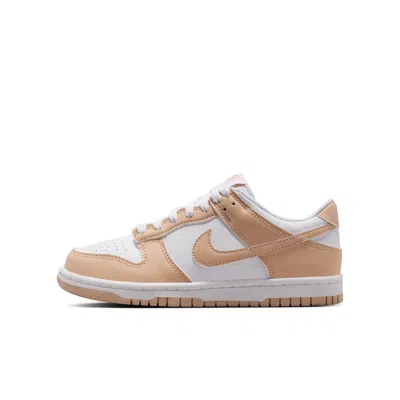 Nike Babies' Dunk Low Big Kids' Shoes In Multi