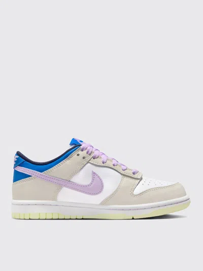 Nike Dunk Low Gs In Gray