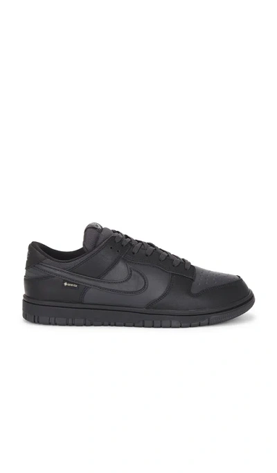 NIKE DUNK LOW GTX
