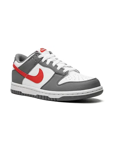 Nike Kids' Dunk Low Next Nature "smoke Grey" Sneakers