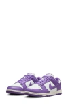Nike Dunk Low Next Nature Sneaker In Summit White/black Raspberry