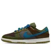 Nike Dunk Low Sneakers Dr0159-200 In Green