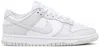 Nike Dunk Sneakers In White