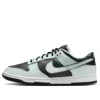 Nike Dunk Low "smoke Grey/barely Green" Sneakers In Blue