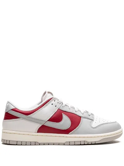 Nike Dunk Low Retro Casual Shoes In Grau