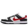 Nike Dunk Low Retro Trainers In Black
