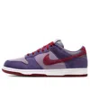 Nike Dunk Low Sp In Purple