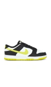 Nike Dunk Low Black Bright Cactus In White  Bright Cactus  & Black