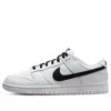 Nike Dunk Low Retro Sneakers In White
