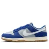 Nike Dunk Low Retro Se In Blue