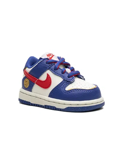 Nike Kids' Dunk Low Sneakers In Blue