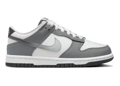 Pre-owned Nike Dunk Low Sneakers In Cool Grey/summit White