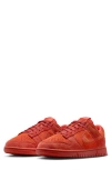 Nike Dunk Low Special Edition Sneaker