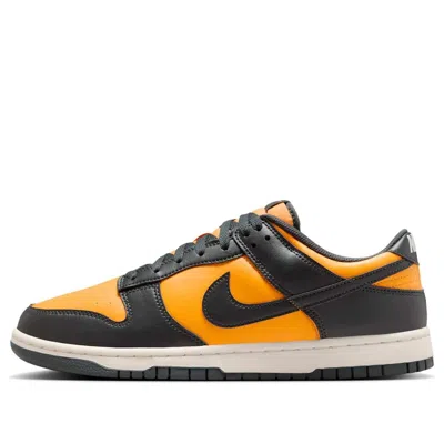 Nike Dunk Low 'sundial' In Multi