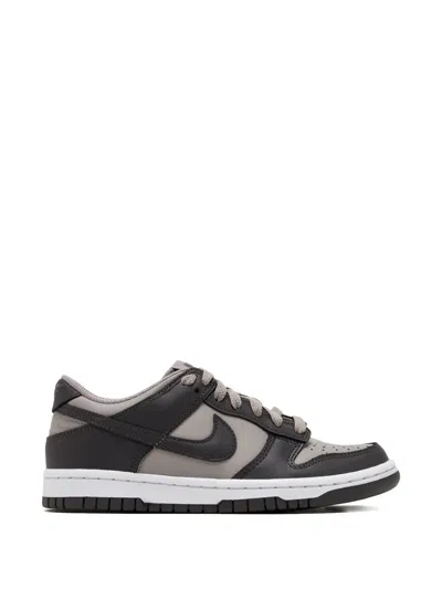 Nike Dunk Sneakers In Multi
