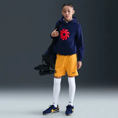 Nike Erling Haaland Academy Big Kids' Dri-fit Soccer Shorts In Blue