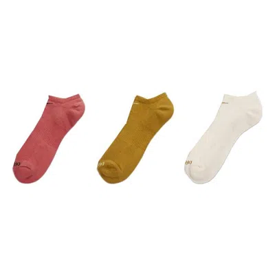 Nike Everyday Plus Cushion Training No-show Socks (3 Pairs) 'multi-colour'