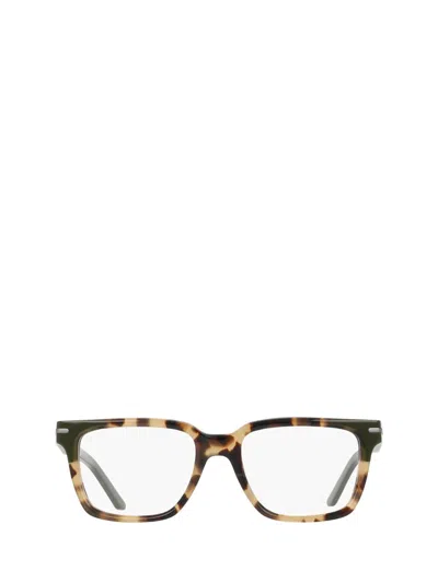 Nike Eyeglasses In Brown