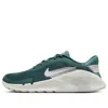 Nike Flex Train Athletic Training Shoe In Multi