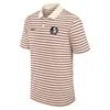 Nike Florida State Striped  Men's Dri-fit College Polo In Brown