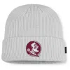 Nike Florida State Utility Off-field  Men's College Cuffed Beanie