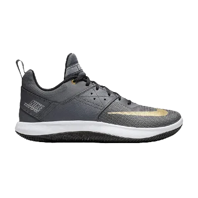 Pre-owned Nike Fly By Low 2 'grey Gold'