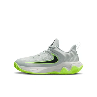 Nike Babies' Giannis Immortality 4 Big Kids' Basketball Shoes In Gray