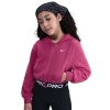 Nike Girls   Np Dri-fit Full Zip Fleece Hoodie In Pink