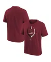 Nike Girls Preschool  Cardinal Arizona Cardinals Icon T-shirt In Cardinal