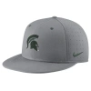 Nike Gray Michigan State Spartans Usa Side Patch True Aerobill Performance Fitted Hat In Gray